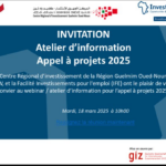 📢 Appel à projets : Atelier d’information pour les acteurs économiques de Guelmim Oued-Noun 📢