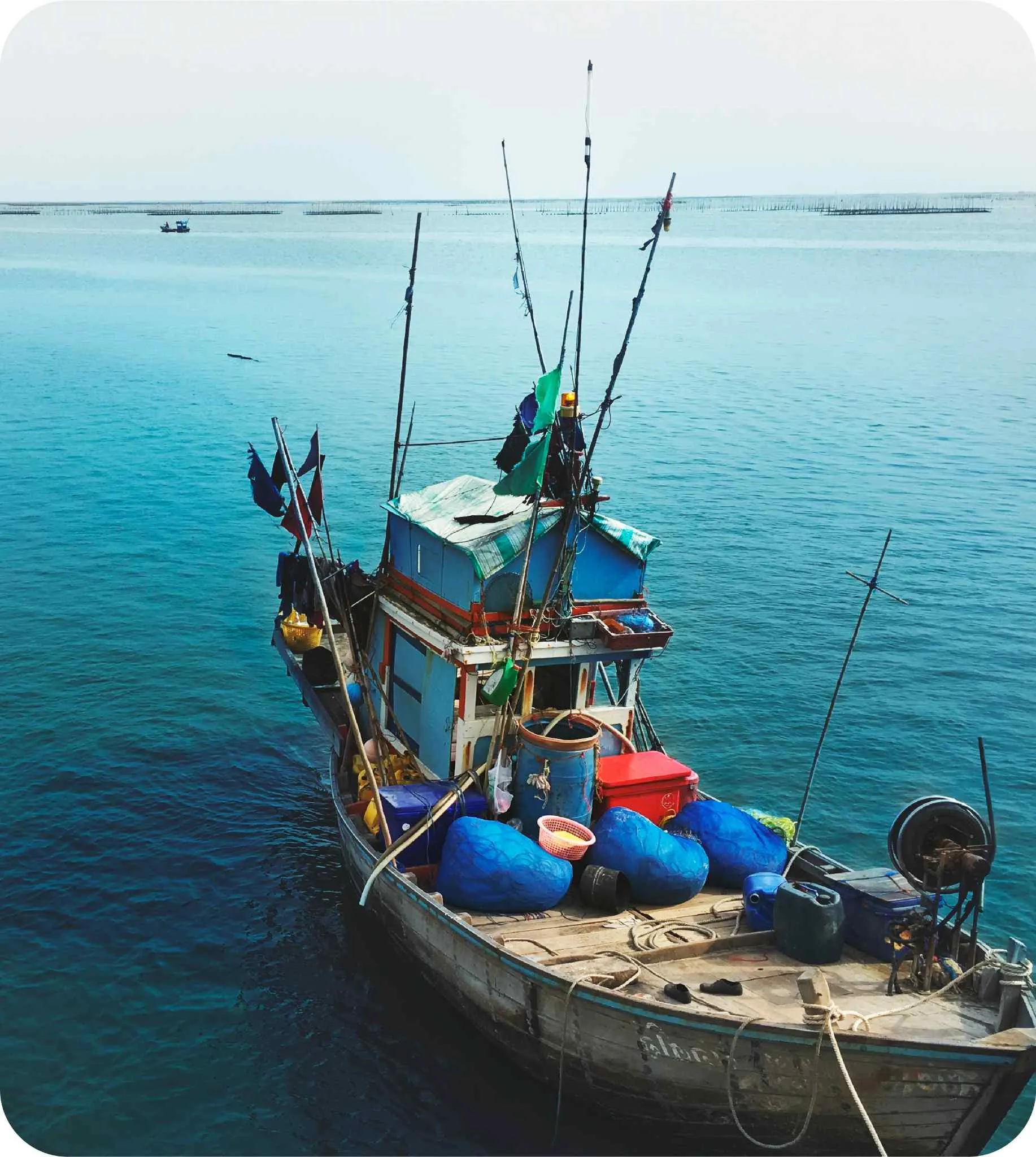 Produits de la mer — CRI Guelmim–Oued Noun