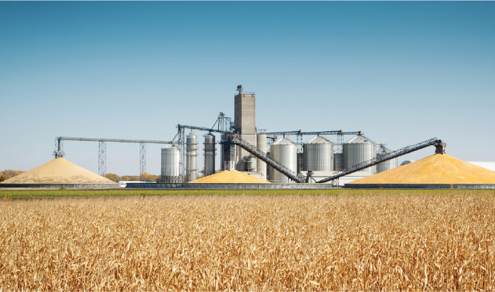 Projet agro-industriel — CRI Guelmim-Oued Noun