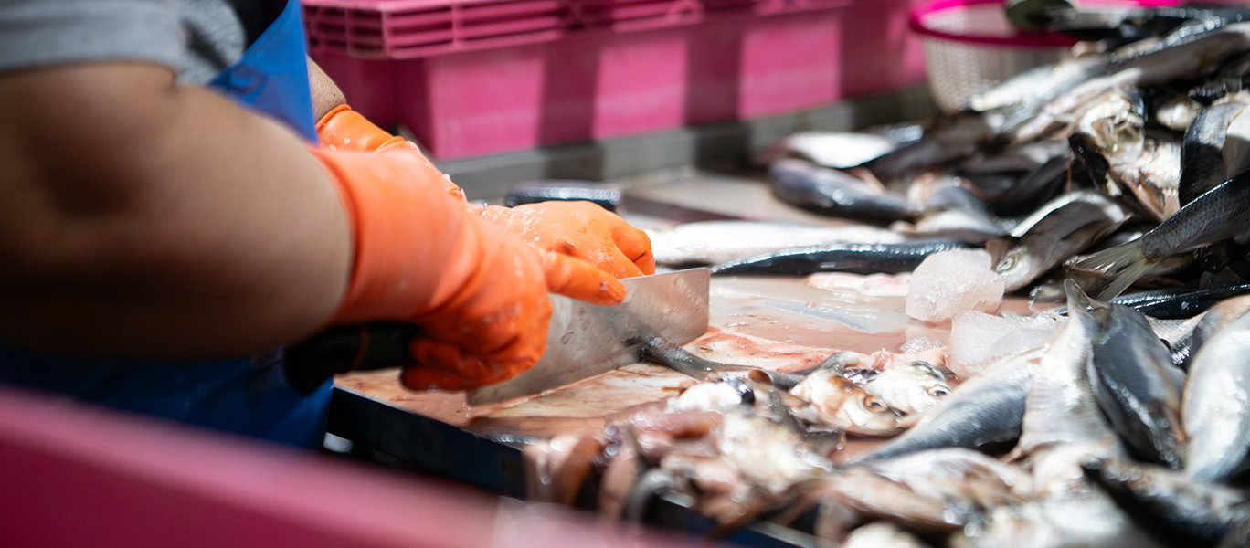 Produits de la mer — Province de Sidi Ifni , CRI Guelmim–Oued Noun