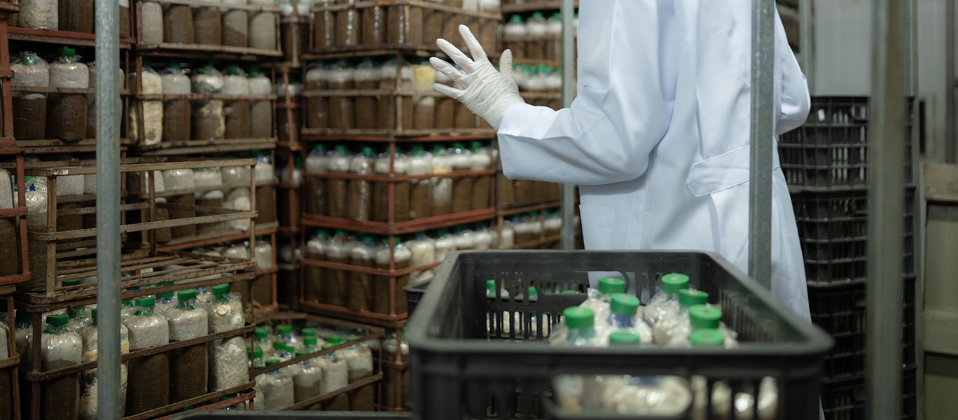 Projet 3 — Centre Régional d’Investissement Guelmim–Oued Noun